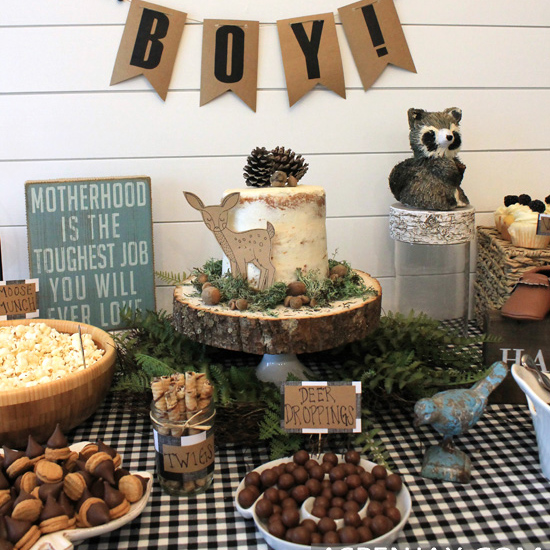 baby shower food table ideas