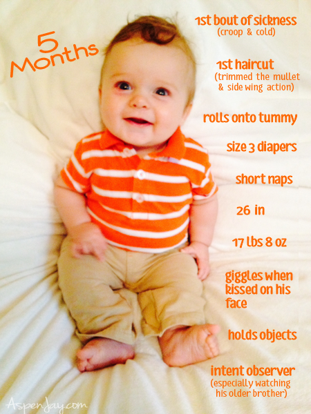 53 HQ Pictures 5 Month Old Baby Hair / What should my 5 month old baby be doing? 5 - 6 month ...